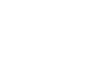 ZRLOGO1