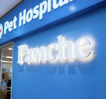 Word Letter Signage 3d Led Lighted Digital Door Sign Front and Backlit Letters